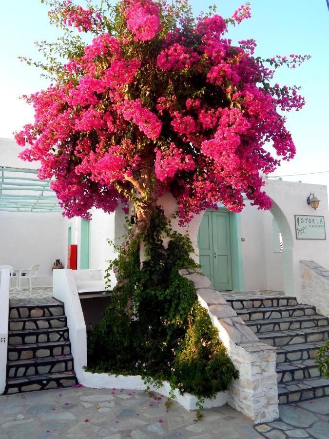 Astoria Paros Appartamento Naoussa Esterno foto